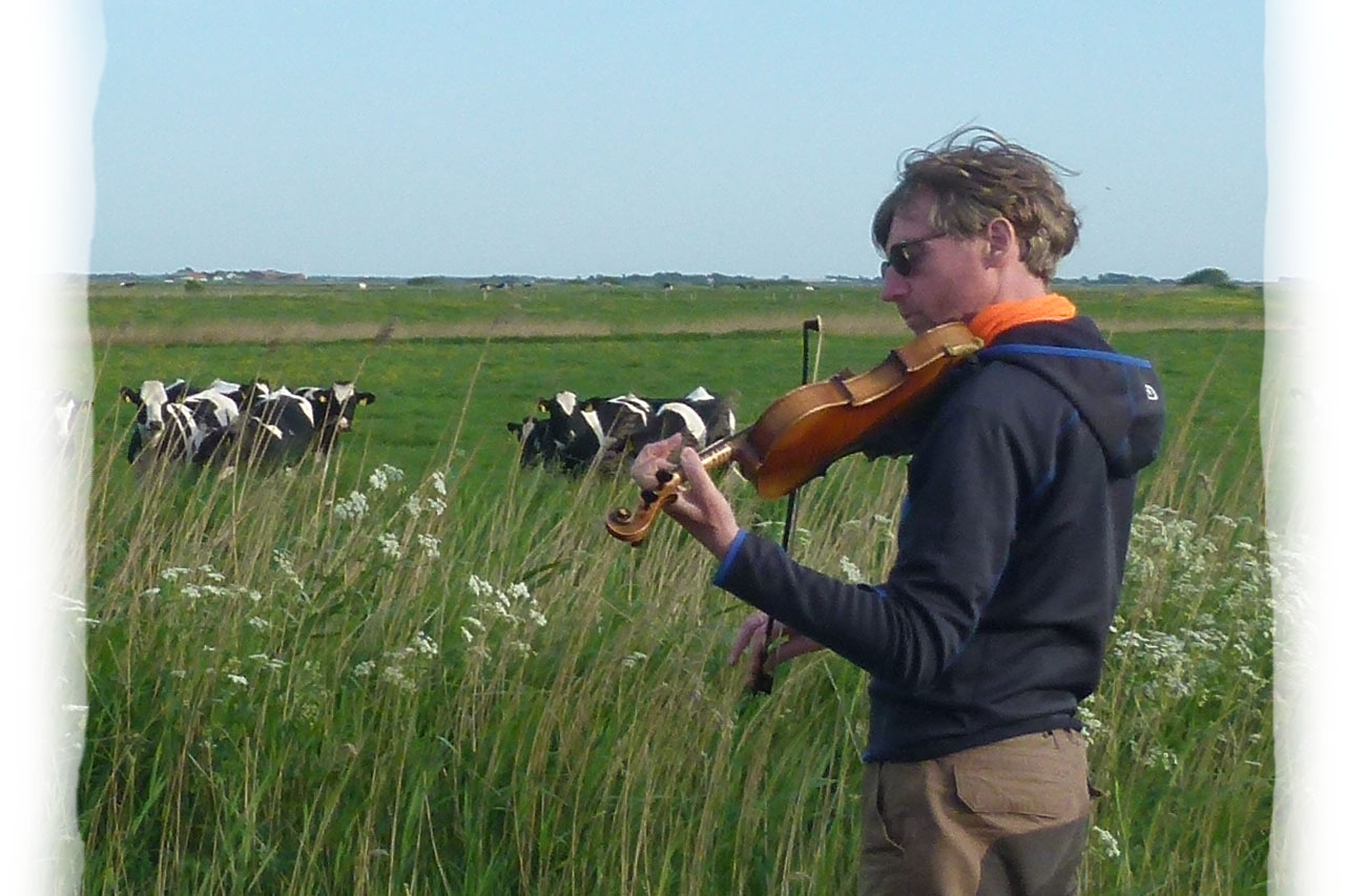 P1130236_1280_weiss.jpg